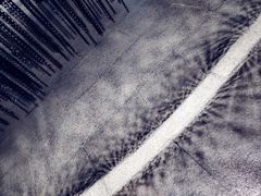 -张之洞与武汉博物馆