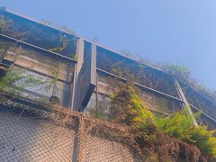 -肴约·花园式餐厅(湖里店)