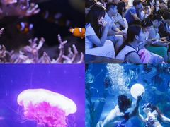 -南昌海洋公园