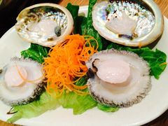 野生鲍鱼-金海阁海鲜火锅
