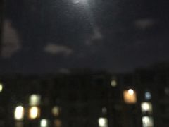 -咖咖熊蛋糕定制·蓝风车动物奶油