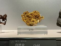 -中国地质博物馆