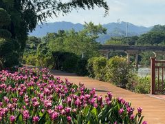 -东南花都花博园