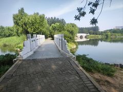 -大兴滨河森林公园