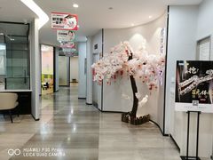 -牙博士口腔(杨浦店)