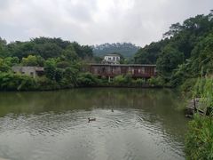 -龙山酒店温泉