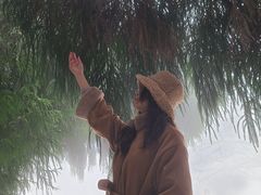 -武陵山森林公园