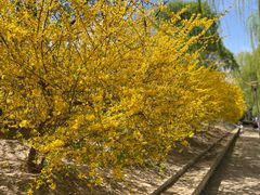 -元大都城垣遗址公园