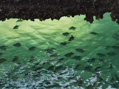 -三亚南山文化旅游区