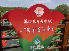 -大湾区中央湿地公园