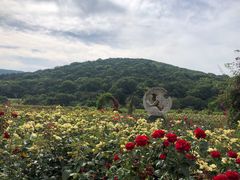 -龙寺生态园