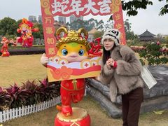 -广东圆玄道观