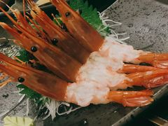 特大牡丹虾刺身-串鑫