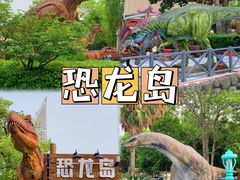 -海合安武汉极地海洋公园