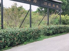 -韩湘水博园