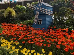 -南宫五洲植物乐园