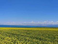 -青海湖国家重点风景名胜区