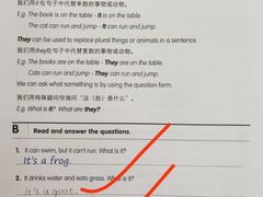 -英孚教育青少儿(东二环泰禾中心)