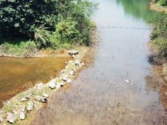 -水濂山森林公园