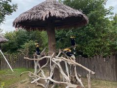 -上海野生动物园
