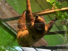 -北京野生动物园