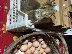 -马陆小张葡萄园农家乐