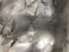 -正亮农家院·海鲜本地菜