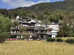 -塔川景区