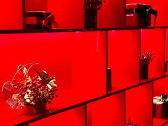 -CitiHot欢悦酒店(广州北京路店)