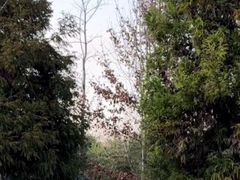 -贵阳市花溪国家城市湿地公园