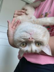 -齐伽生活馆·瑜伽·普拉提·阿育吠陀