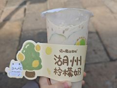 -猫的魔法密林(衣裳街店)