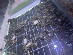 -聚盛源蒸汽海鲜火锅烤肉自助(巨川金海岸购物广场店)