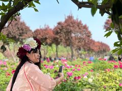 -曹州百花园