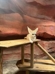 -Zoolung Zoolung动物主题公园(海信广场店)