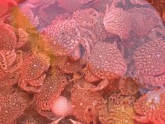 -嵊泗基湖沙滩