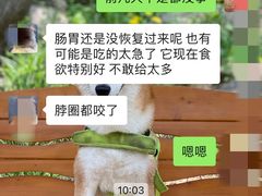 -北京佳信宠物医院