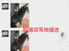 -汪说喵讲宠物乐园宠物酒店(红星美凯龙店)