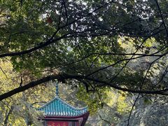 -岳麓山风景名胜区