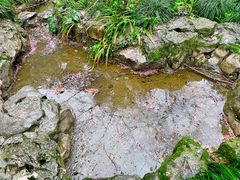 -杭州植物园