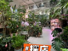 -剪刀石头布家居广场