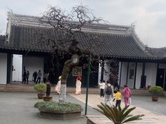 -苏州园林博物馆
