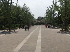 -迎泽公园