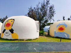 -漳州滨海火山岛自然生态风景区