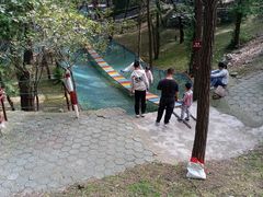 -原山国家森林公园