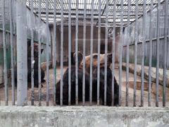 -祥源·阜阳生态乐园