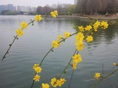 -石湖景区