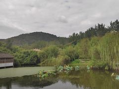 -灵岩山风景区