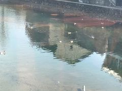 -鹿亭中村