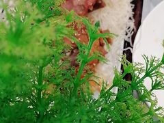 -津悦·正阳春烤鸭(红旗南路店)
